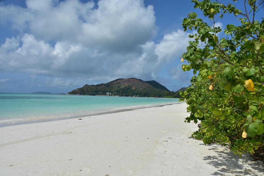 Heliconia Grove Villa Baie Sainte Anne Buitenkant foto